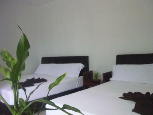 Hotel Paka Inn