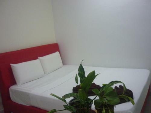 Hotel Paka Inn