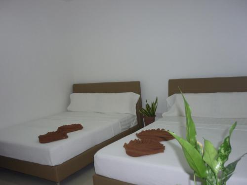Hotel Paka Inn