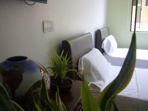 Hotel Paka Inn