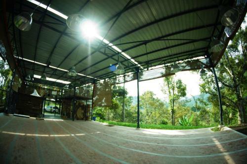The Plantation