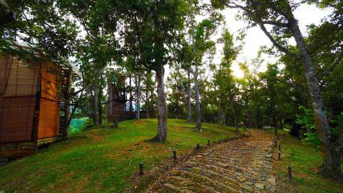 The Plantation