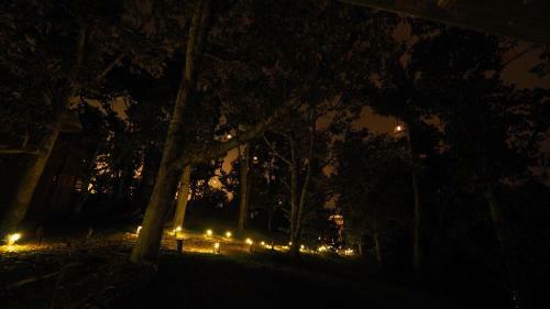 The Plantation