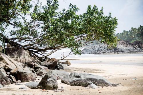 Pandan Beach Homestay