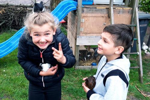 Minicamping Drentse Monden