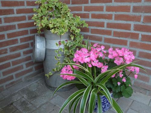 Quaint Holiday Home In Valkenswaard On A Farm