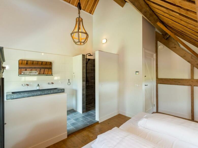 Spacious Mansion In Vrouwenpolder With Terrace