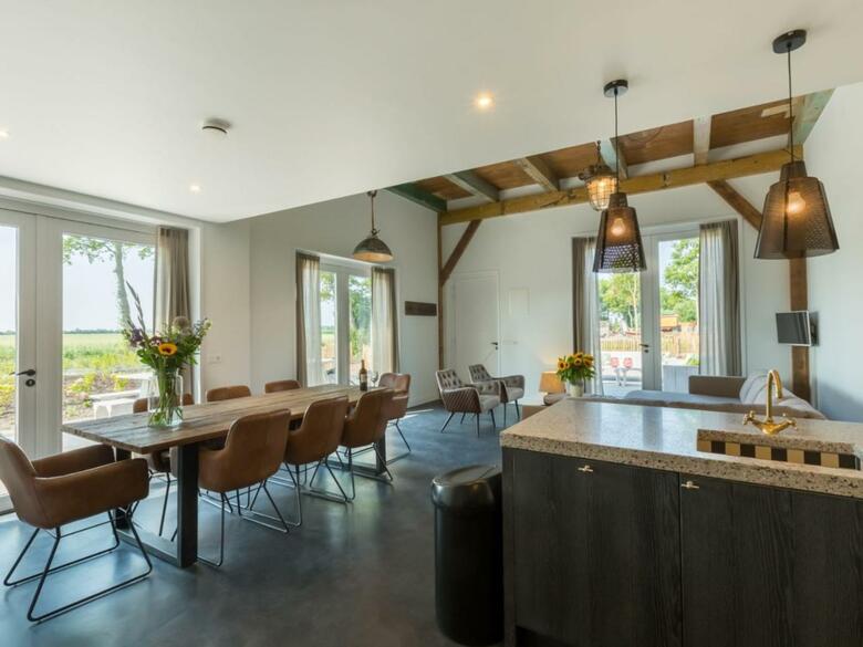 Spacious Mansion In Vrouwenpolder With Terrace