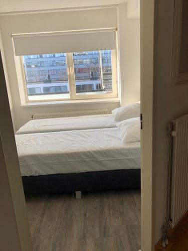Apartamento Mycitylofts - Cozy 1 Bedroom