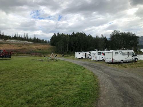 Aspnes Camping
