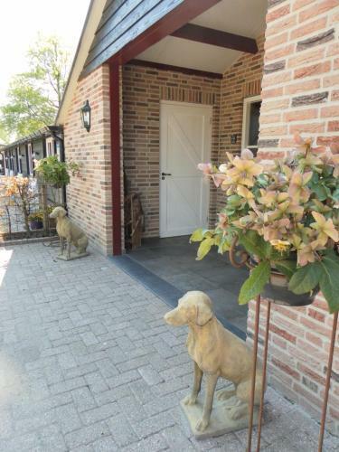 Bed & Breakfast De Turfstaeker