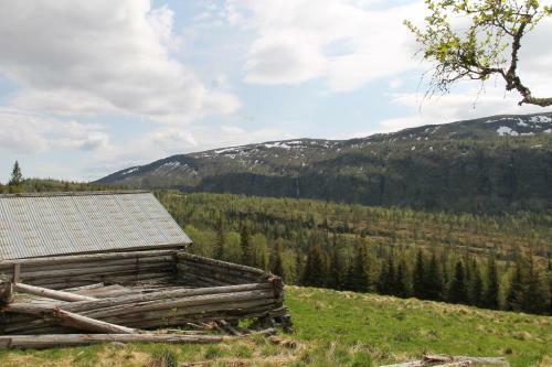 Svartbakken Hytter