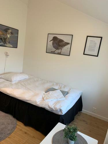 B�tsfjord Polar Hotell