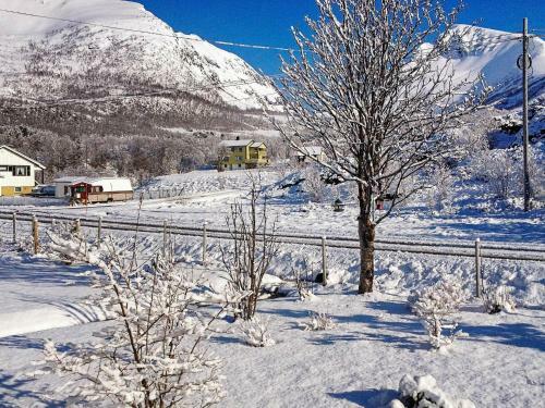 Holiday Home Stonglandseidet