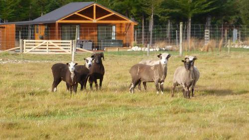 Lodge Whakat? In Fiordland