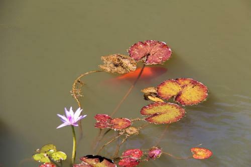 Brecon Pond Bed & Breakfast