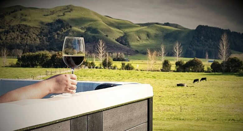 Bed & Breakfast Paeroa Pukeko Lodge