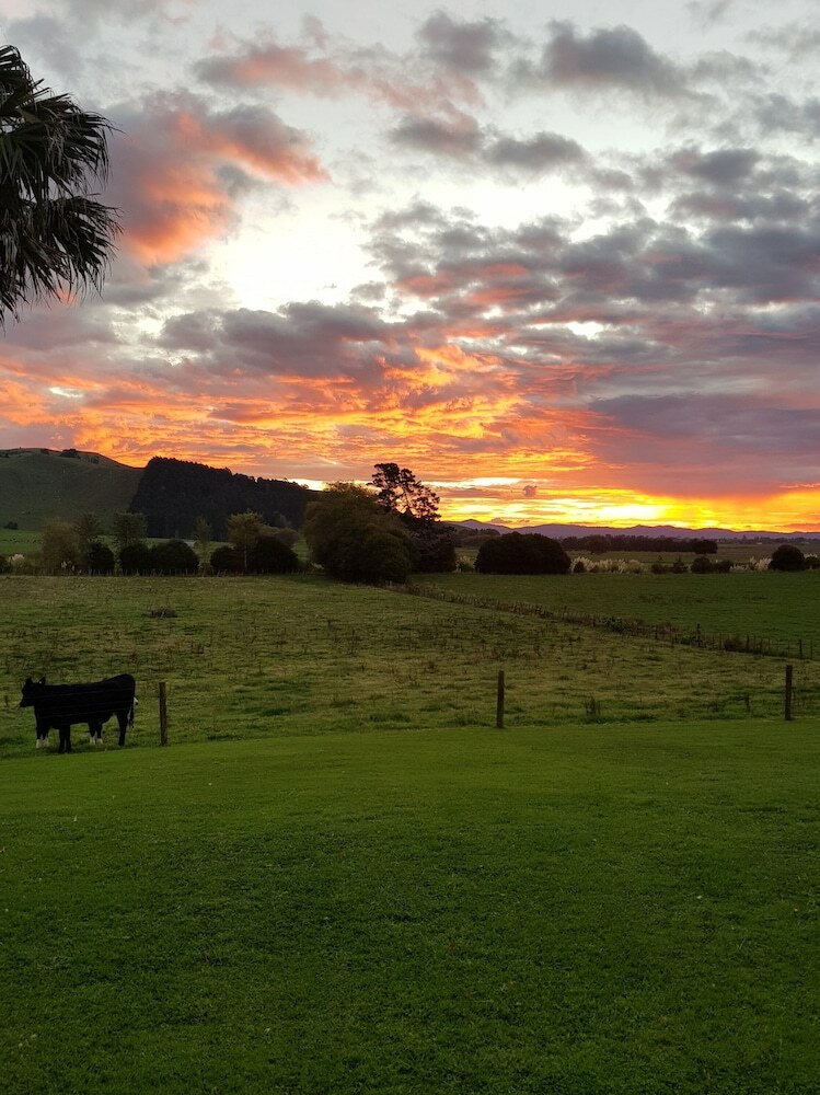 Bed & Breakfast Paeroa Pukeko Lodge