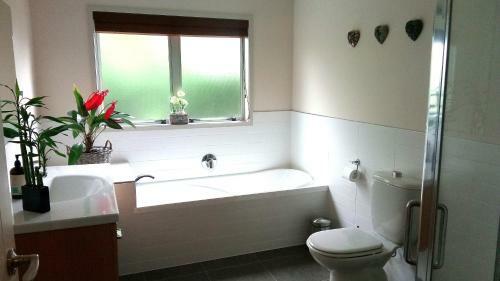 Stylish Matua Apartment