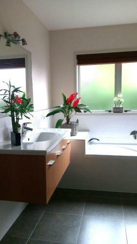 Stylish Matua Apartment