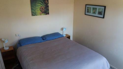 Albergue Annies Nirvana Lodge, Golden Bay Yha