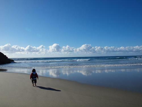 Albergue Annies Nirvana Lodge, Golden Bay Yha
