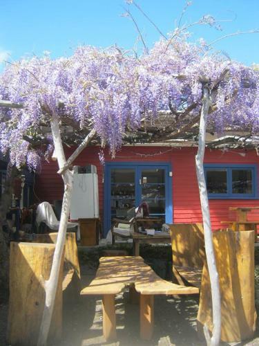 Albergue Annies Nirvana Lodge, Golden Bay Yha