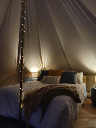 Waiau Motor Camp & Cabins