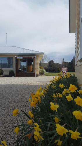 Waiau Motor Camp & Cabins