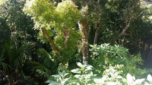Bed & Breakfast Kereru Rest