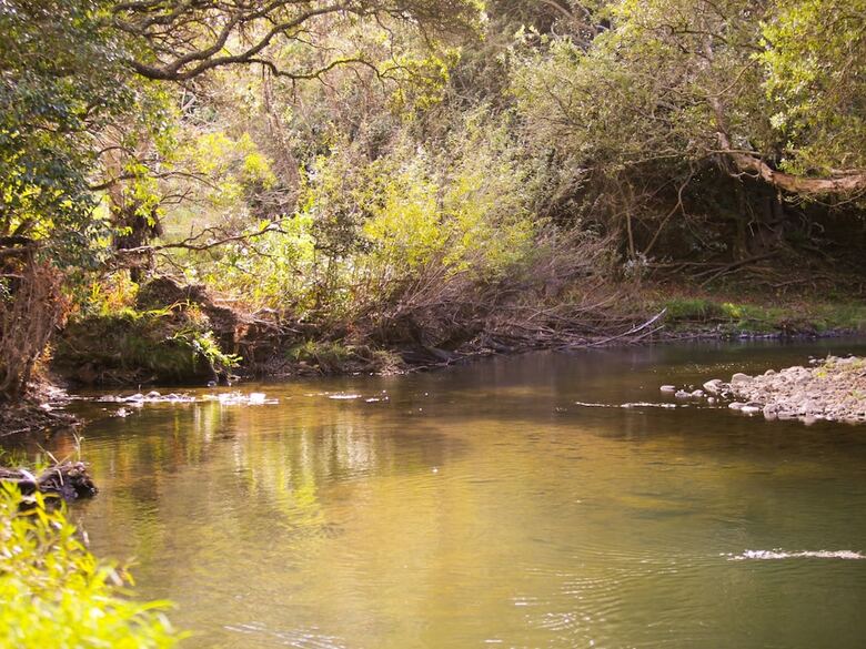 Orere Point Top 10 Holiday Park