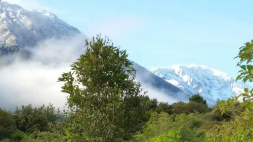 Jackson's Retreat Alpine Holiday Park