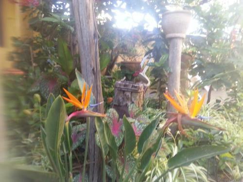 Ita�na Hostel