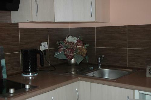 Hostal Agroturystyka Pod Jesionem