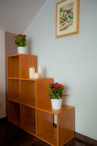 Apartamenty Apartinfo Jasny Brzeg