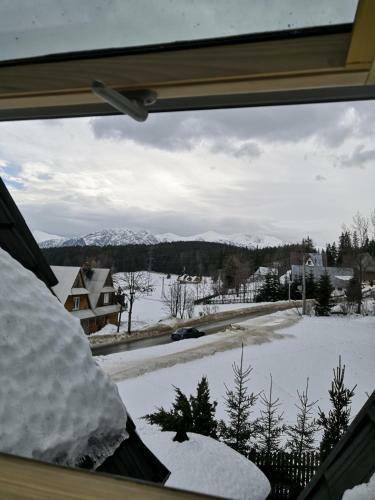 Bed & Breakfast Willa "sosnowa Ostoja"
