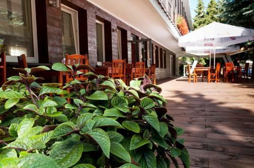 Vistula Hotel