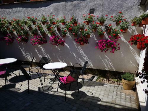 Hostal Go?cinny Dom Kaola