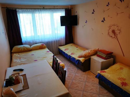 Hostal Go?cinny Dom Kaola