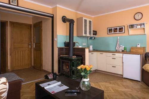 Horizon Apartments - Szczawnica
