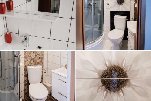 Hostal O?rodek Wypoczynkowy Ila