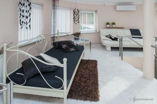 Apartamenty W?oc?awek