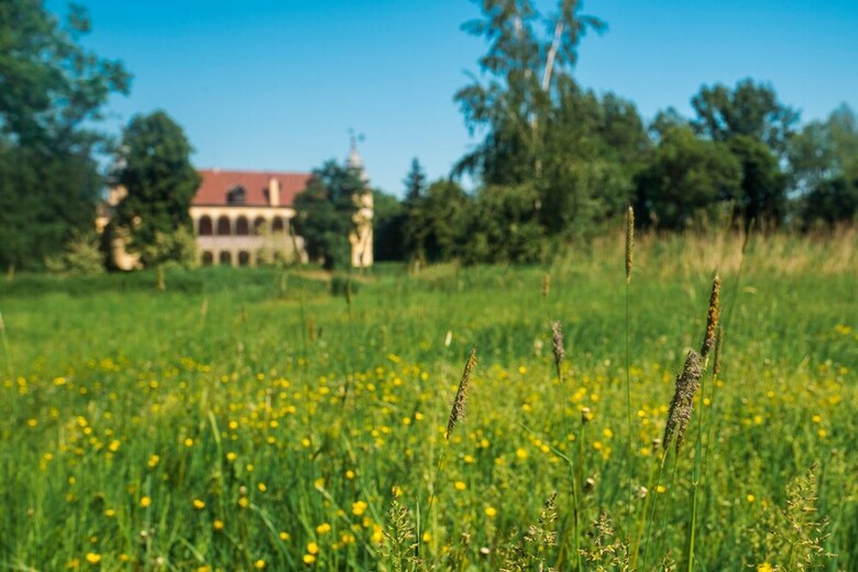 Hotel Pa?ac Krobielowice