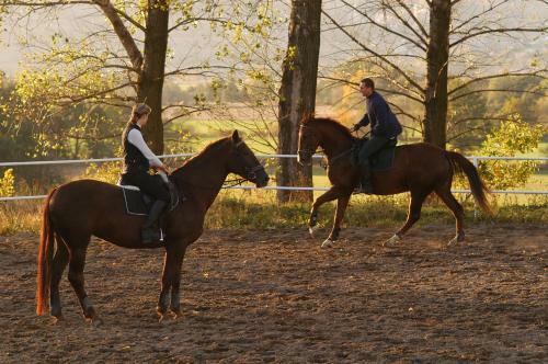 Agroturismo Folwark Leszczyn�wka