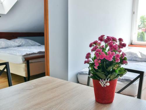 Hostal Go?ciniec Pod Markizami
