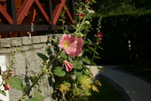 Apartamento Wrzosowa 25