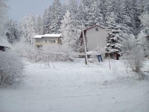 Hostal Za Bukiem
