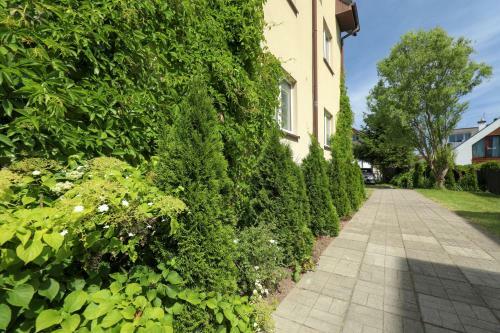 Hostal Dg Albatros II