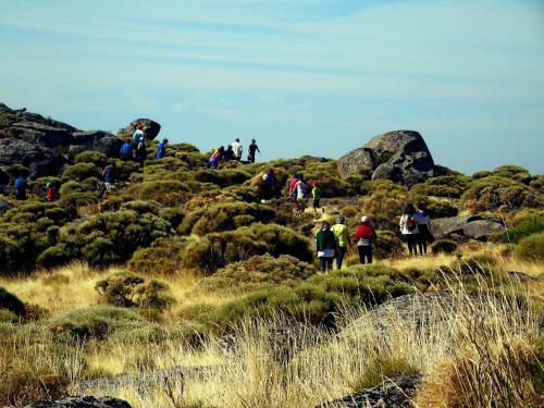 Hostal Nascente Do C�a Turismo Rural