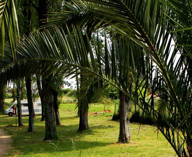 Parque de Campismo Orbitur Angeiras